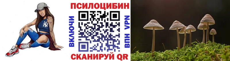 Псилоцибиновые грибы Psilocybine cubensis  Купить где  Омск 